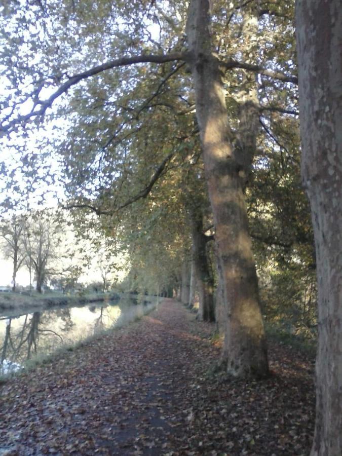 Vaire-le-Grand Gite 3 Etoiles "Entre Sources Et Riviere" Besancon מראה חיצוני תמונה